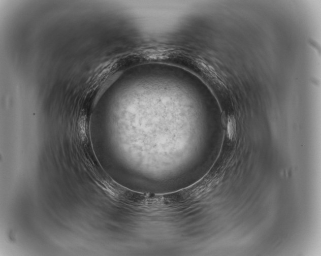 X0000096941444200802081154