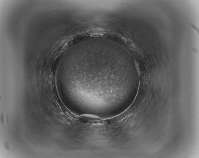 X0000096941445200802081154
