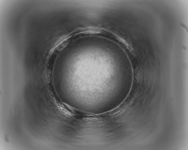X0000096941448200802081154