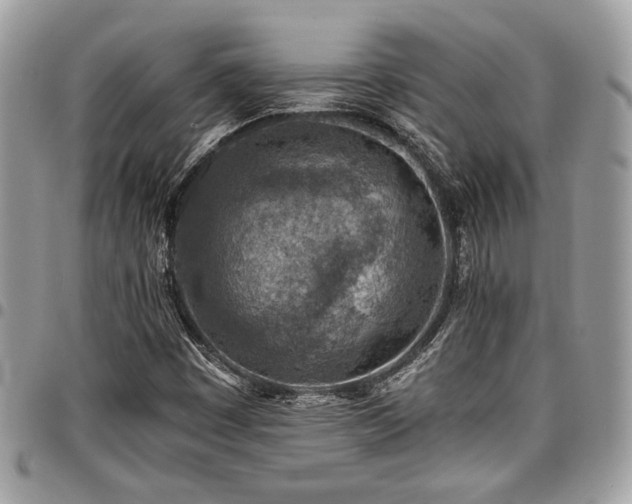X0000096941449200802081154