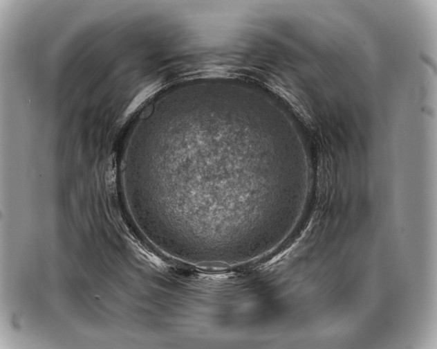 X0000096941450200802081154