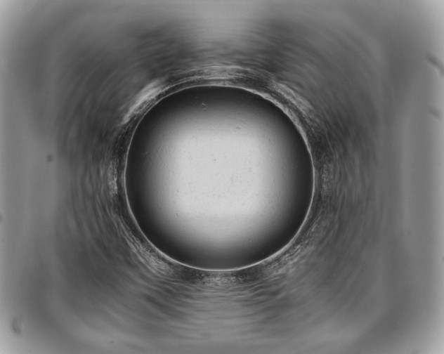 X0000096941451200802081154