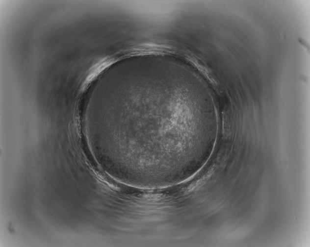 X0000096941453200802081154