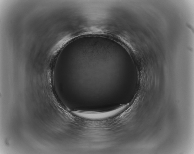 X0000096941455200802081154