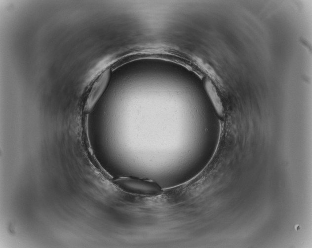 X0000096941456200802081154