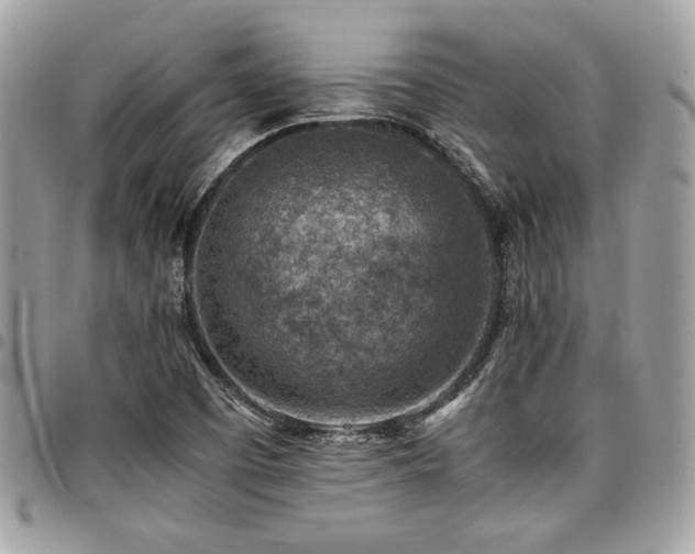 X0000096941457200802081154