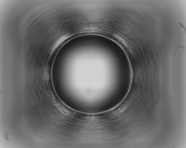 X0000096941458200802081154