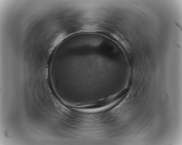 X0000096941459200802081154