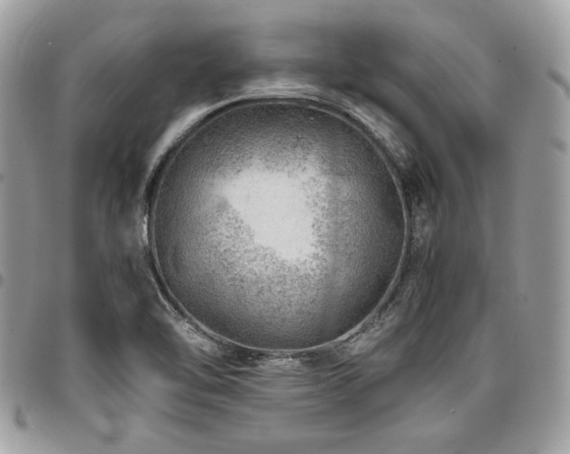 X0000096941462200802081154