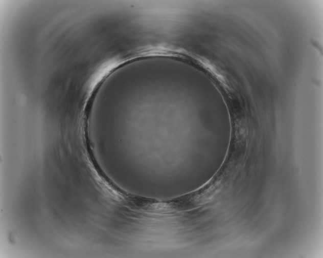 X0000096941463200802081154