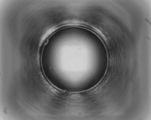 X0000096941464200802081154