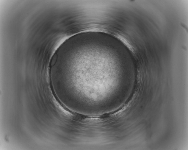 X0000096941468200802081154