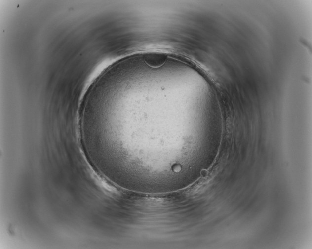 X0000096941470200802081154