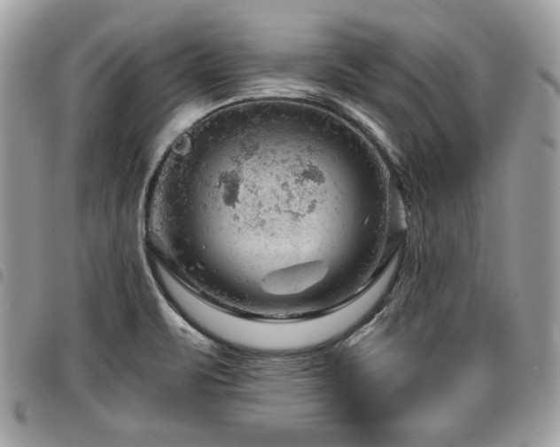 X0000096941471200802081154