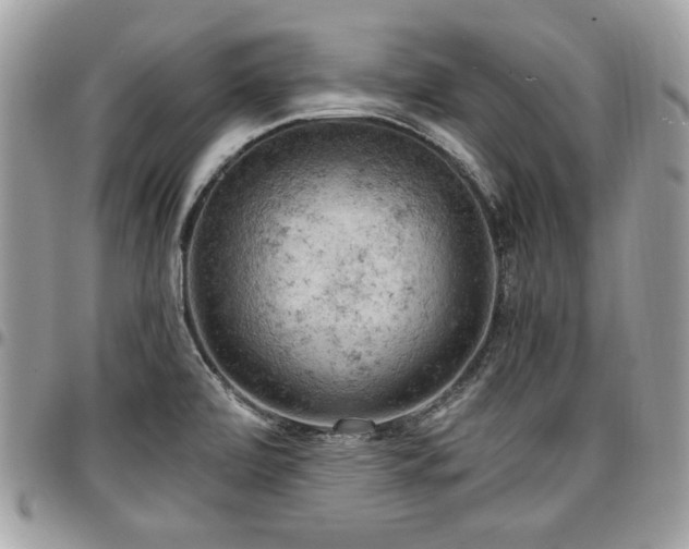 X0000096941472200802081154