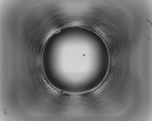 X0000096941473200802081154