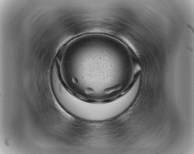 X0000096941476200802081154
