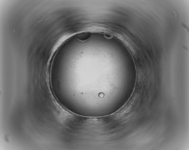 X0000096941478200802081154