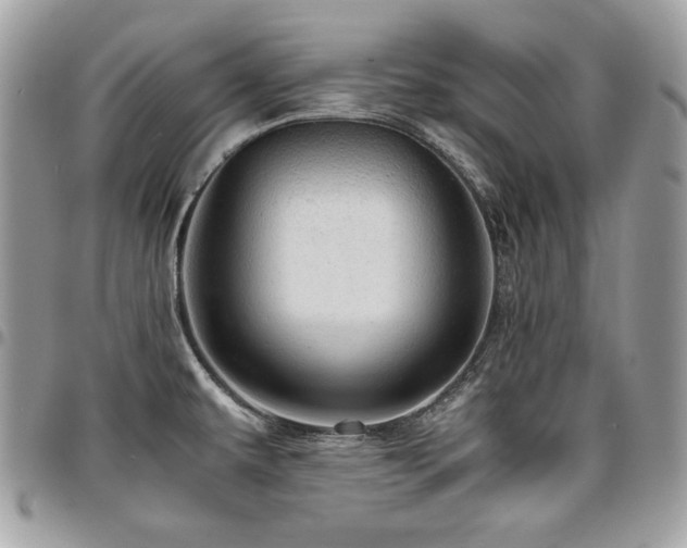 X0000096941479200802081154