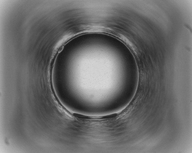X0000096941480200802081154