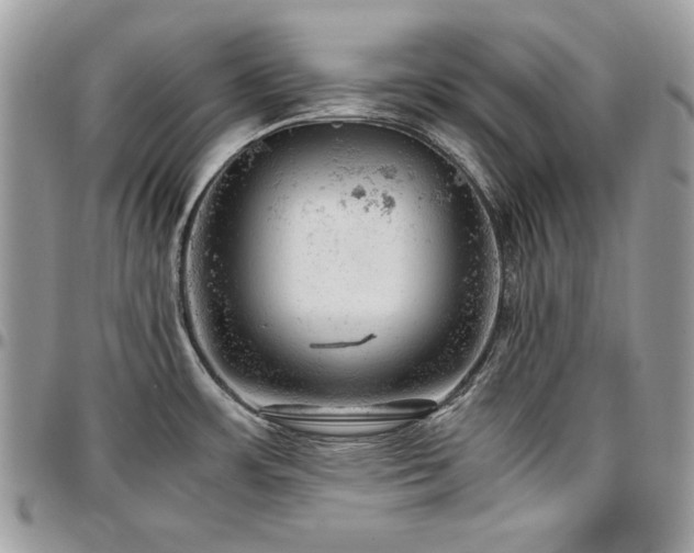 X0000096941483200802081154