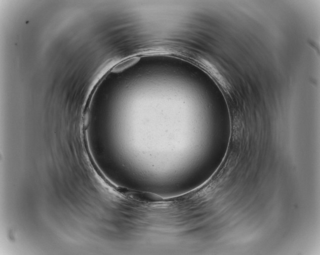 X0000096941484200802081154