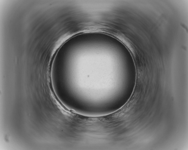 X0000096941485200802081154