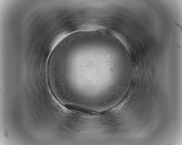 X0000096941487200802081154