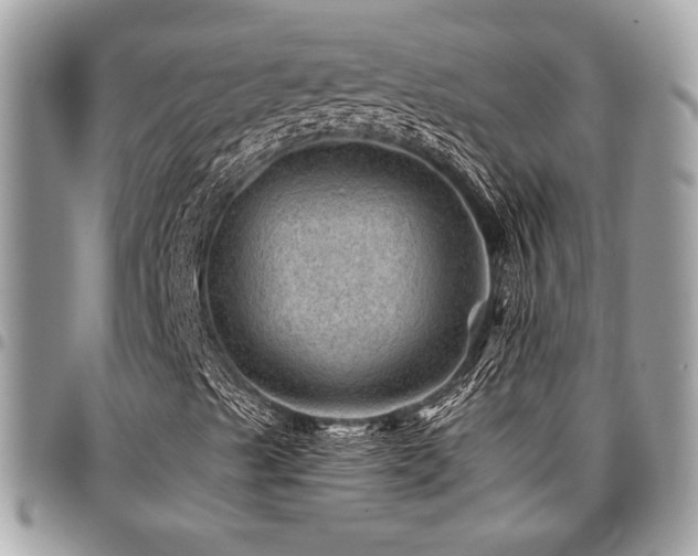 X0000096941489200802081153