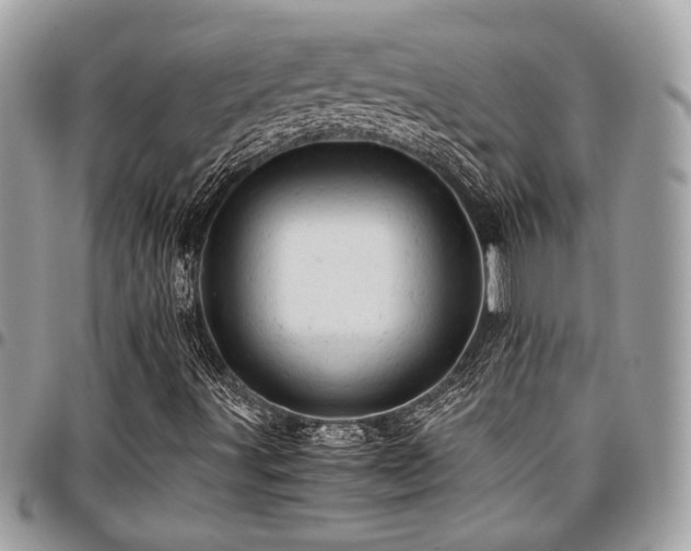 X0000096941491200802081153