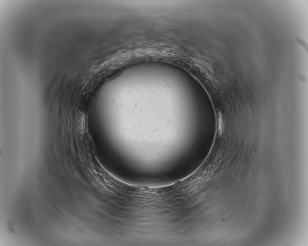 X0000096941492200802081153