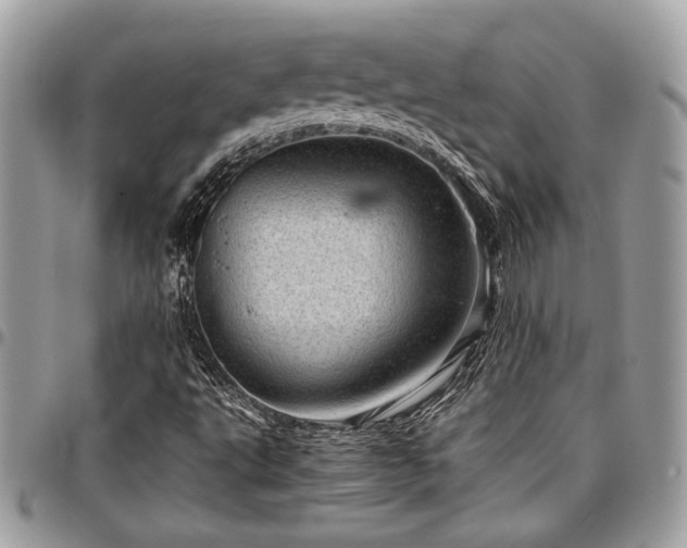 X0000096941495200802081153
