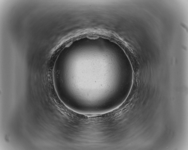 X0000096941496200802081153