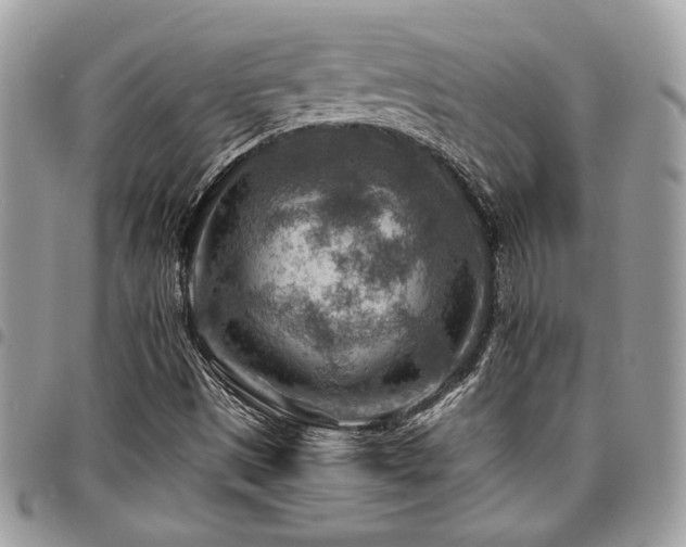 X0000096941497200802081153
