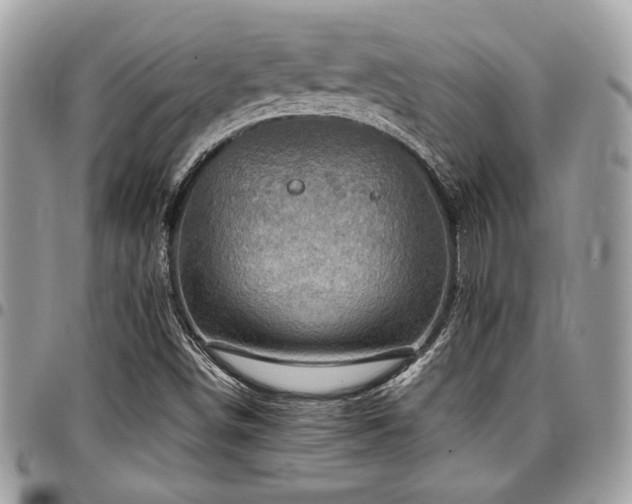 X0000096941498200802081153
