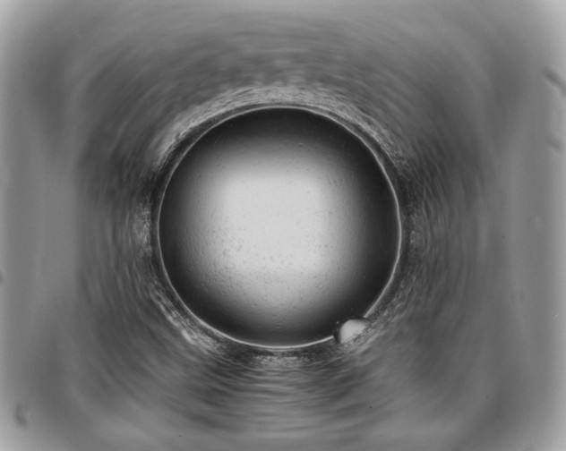 X0000096941499200802081153