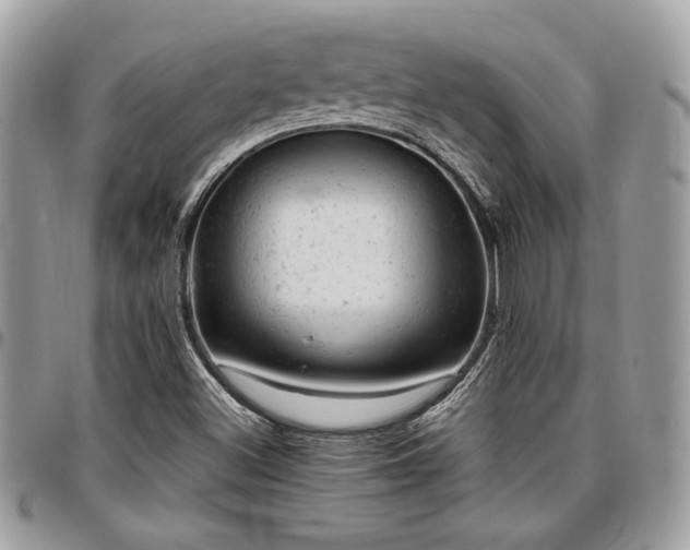 X0000096941500200802081153