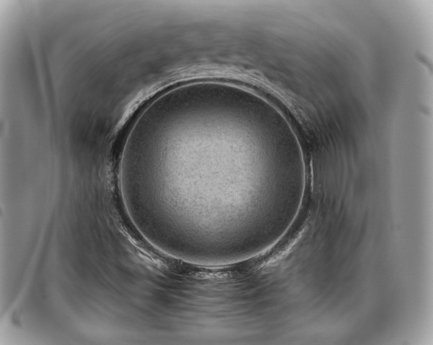 X0000096941501200802081153
