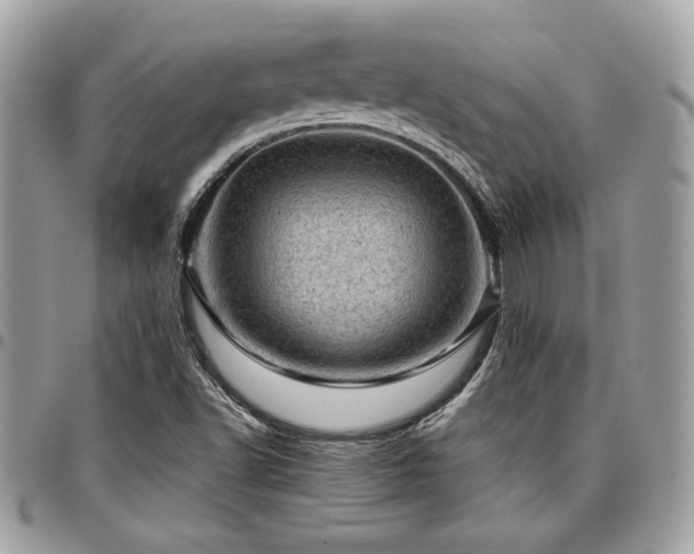 X0000096941502200802081153