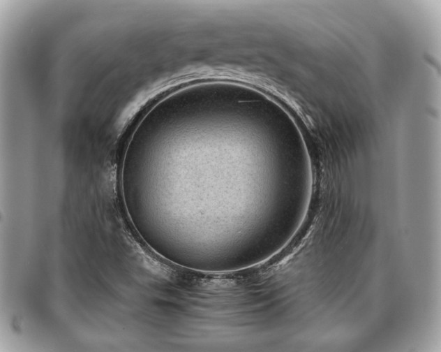 X0000096941503200802081153
