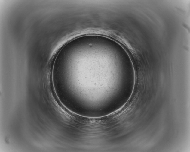 X0000096941504200802081153