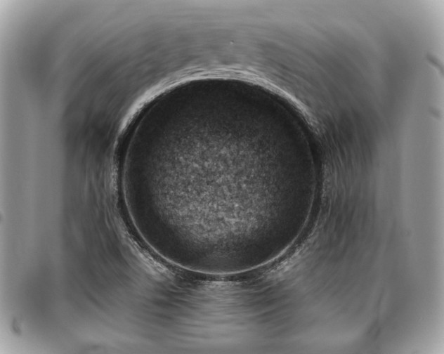 X0000096941506200802081153