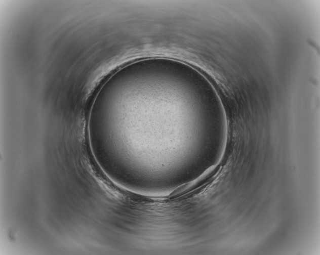 X0000096941507200802081153