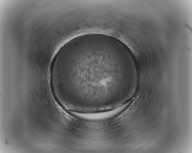 X0000096941508200802081153