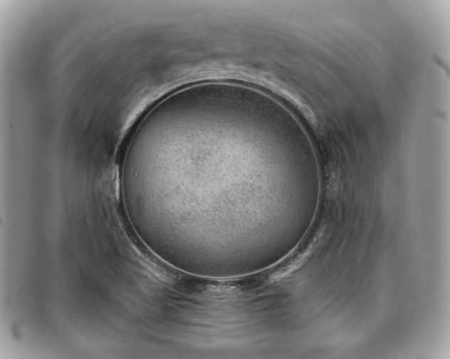 X0000096941509200802081153