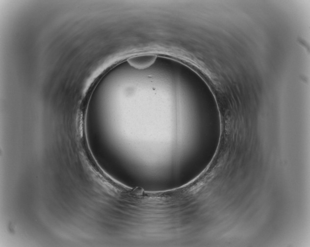 X0000096941510200802081153