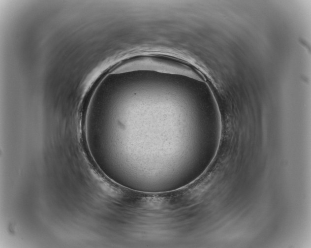 X0000096941511200802081153