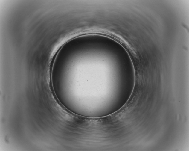 X0000096941512200802081153