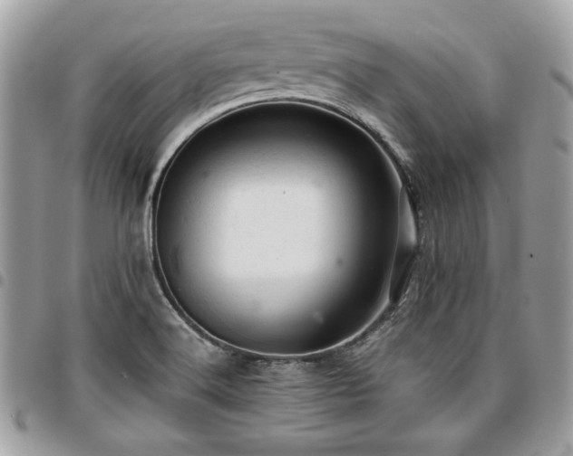 X0000096941516200802081153