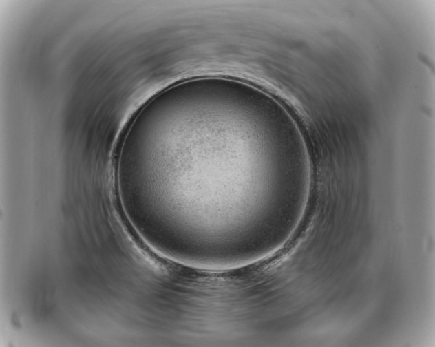 X0000096941517200802081153